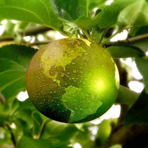 Nachhaltigkeit in HERMANs CafeBar in Braunschweig