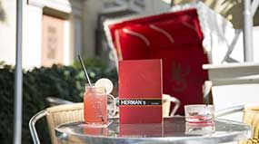 Hermans Terrasse Braunschweig B71